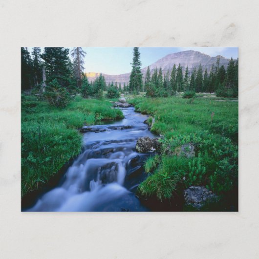 HOGE UINTAS WILDERNESS, UTAH. Stillwater Fork Briefkaart (Voorkant)