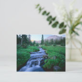 HOGE UINTAS WILDERNESS, UTAH. Stillwater Fork Briefkaart (Staand voorkant)