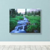HOGE UINTAS WILDERNESS, UTAH. Stillwater Fork Canvas Afdruk (Insitu (Houten vloer))