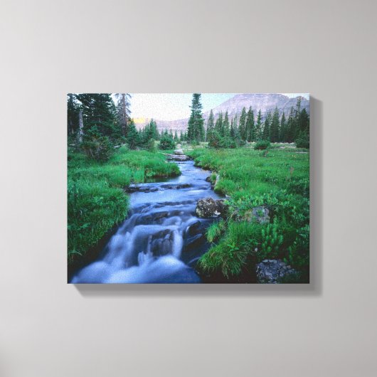 HOGE UINTAS WILDERNESS, UTAH. Stillwater Fork Canvas Afdruk (Voorkant)