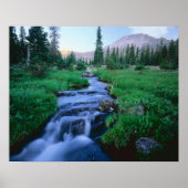 HOGE UINTAS WILDERNESS, UTAH. Stillwater Fork Poster (Voorkant)
