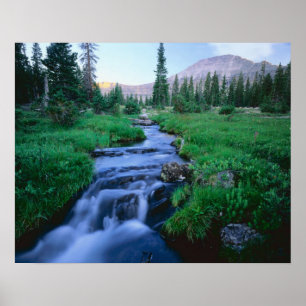 HOGE UINTAS WILDERNESS, UTAH. Stillwater Fork Poster