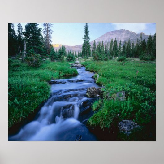 HOGE UINTAS WILDERNESS, UTAH. Stillwater Fork Poster (Voorkant)
