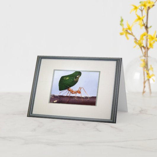 Hoge verwachtingen kaart (Gele Bloem)