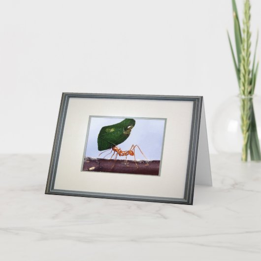 Hoge verwachtingen kaart (Voorkant)