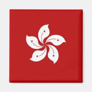 Hoge vlag van Hongkong Magneet