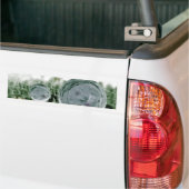 Hoge waterafstotendheid van het Lotus-effect Bumpersticker (Op Truck)