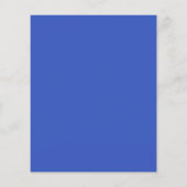 Hogedrukreiniger Water Spuitpistool Blauw Flyer (Achterkant)