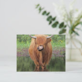 Hogeenkoe Briefkaart (Staand voorkant)