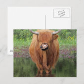 Hogeenkoe Briefkaart (Voorkant / Achterkant)
