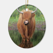 Hogeenkoe Keramisch Ornament (Links)