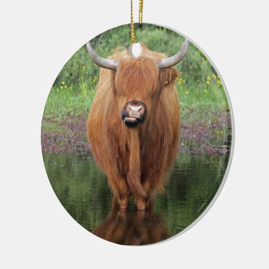 Hogeenkoe Keramisch Ornament (Links)