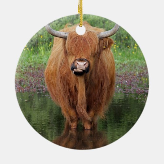 Hogeenkoe Keramisch Ornament (Achterkant)