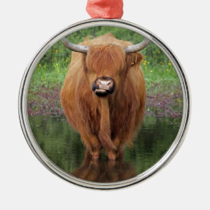Hogeenkoe Metalen Ornament