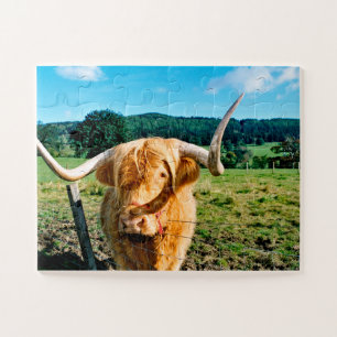 Hogeland koe puzzel legpuzzel