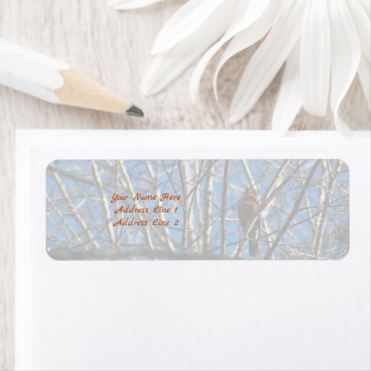 Hoger Etiket (Insitu)