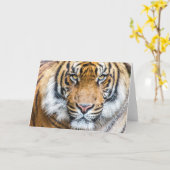 Hoger gezicht kaart (Gele Bloem)