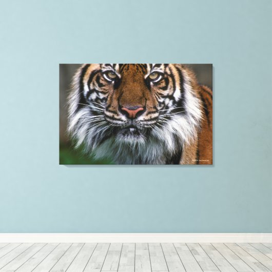 Hoger hoofd en gezicht canvas afdruk (Insitu (Houten vloer))