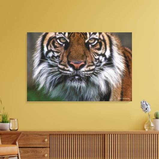 Hoger hoofd en gezicht canvas afdruk (Insitu (Woonkamer))