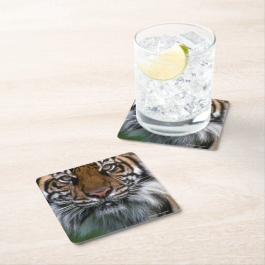 Hoger hoofd en gezicht kartonnen onderzetters (Insitu)