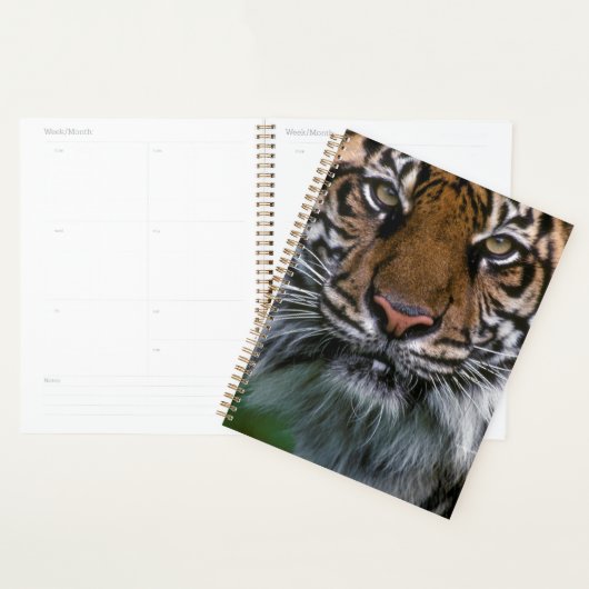 Hoger hoofd en gezicht planner (Display)