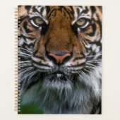 Hoger hoofd en gezicht planner (Voorkant)