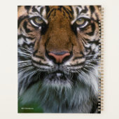 Hoger hoofd en gezicht planner (Achterkant)