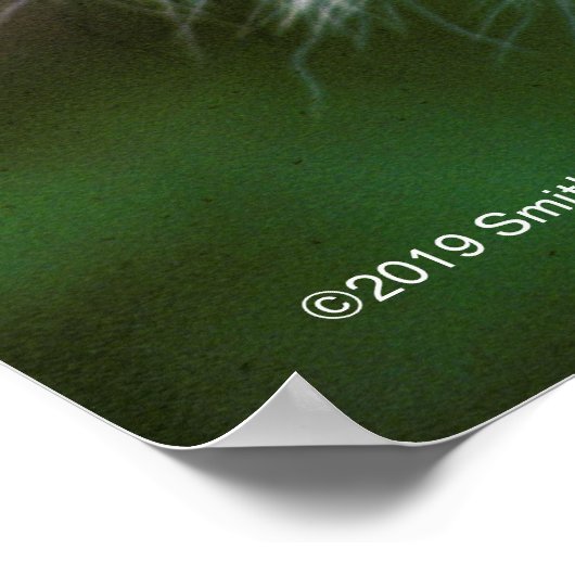 Hoger hoofd en gezicht poster (Hoek)