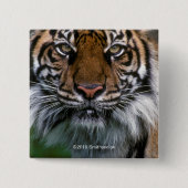 Hoger hoofd en gezicht vierkante button 5,1 cm (Voorkant)