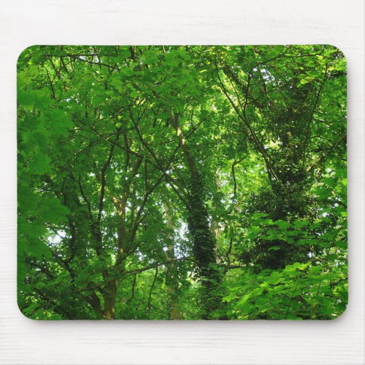 Hoger in de Bomen Muismat (Voorkant)