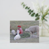 Hoger met koppel briefkaart (Staand voorkant)