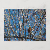 Hoger omhoog briefkaart (Voorkant)