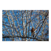 Hoger omhoog foto afdruk (Voorkant)