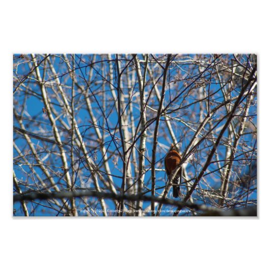 Hoger omhoog foto afdruk (Voorkant)