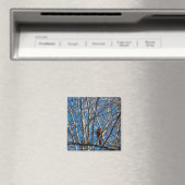 Hoger omhoog magneet (Insitu (Vaatwasser))