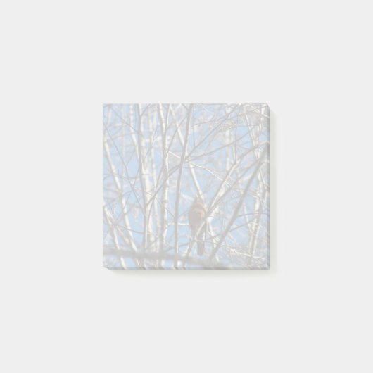 Hoger omhoog post-it® notes (Voorkant)