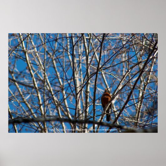 Hoger Op Poster (Voorkant)