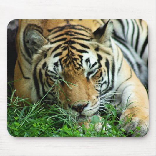 Hoger Sleeping in gras Mousepad Muismat (Voorkant)