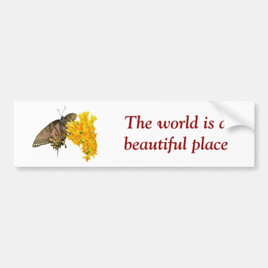 Hoger Swallowtail Butterfly (Papilio glaucas) Item Bumpersticker (Voorkant)