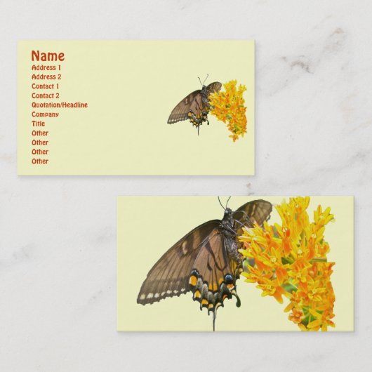 Hoger Swallowtail Butterfly (Papilio glaucas) Item Visitekaartje (Voorkant / Achterkant)