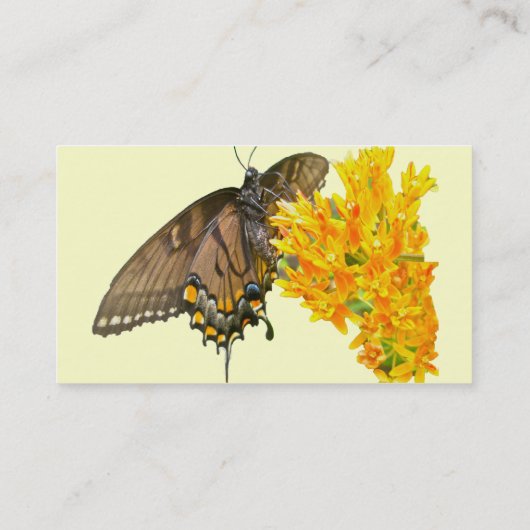 Hoger Swallowtail Butterfly (Papilio glaucas) Item Visitekaartje (Achterkant)