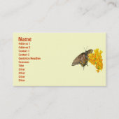 Hoger Swallowtail Butterfly (Papilio glaucas) Item Visitekaartje (Voorkant)