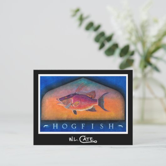 Hogfish Briefkaarten (Staand voorkant)