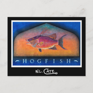 Hogfish Briefkaarten