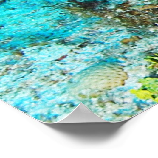 Hogfish Poster (Hoek)