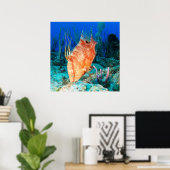 Hogfish Poster (Thuiskantoor)