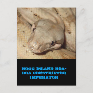 Hogg-boa Briefkaart