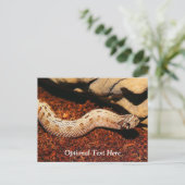 Hognose Pet Snake Briefkaart (Staand voorkant)