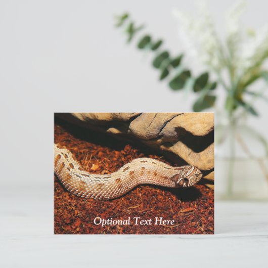 Hognose Pet Snake Briefkaart (Staand voorkant)