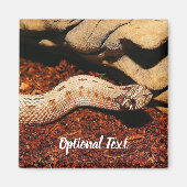 Hognose Pet Snake Magneet (Voorkant)